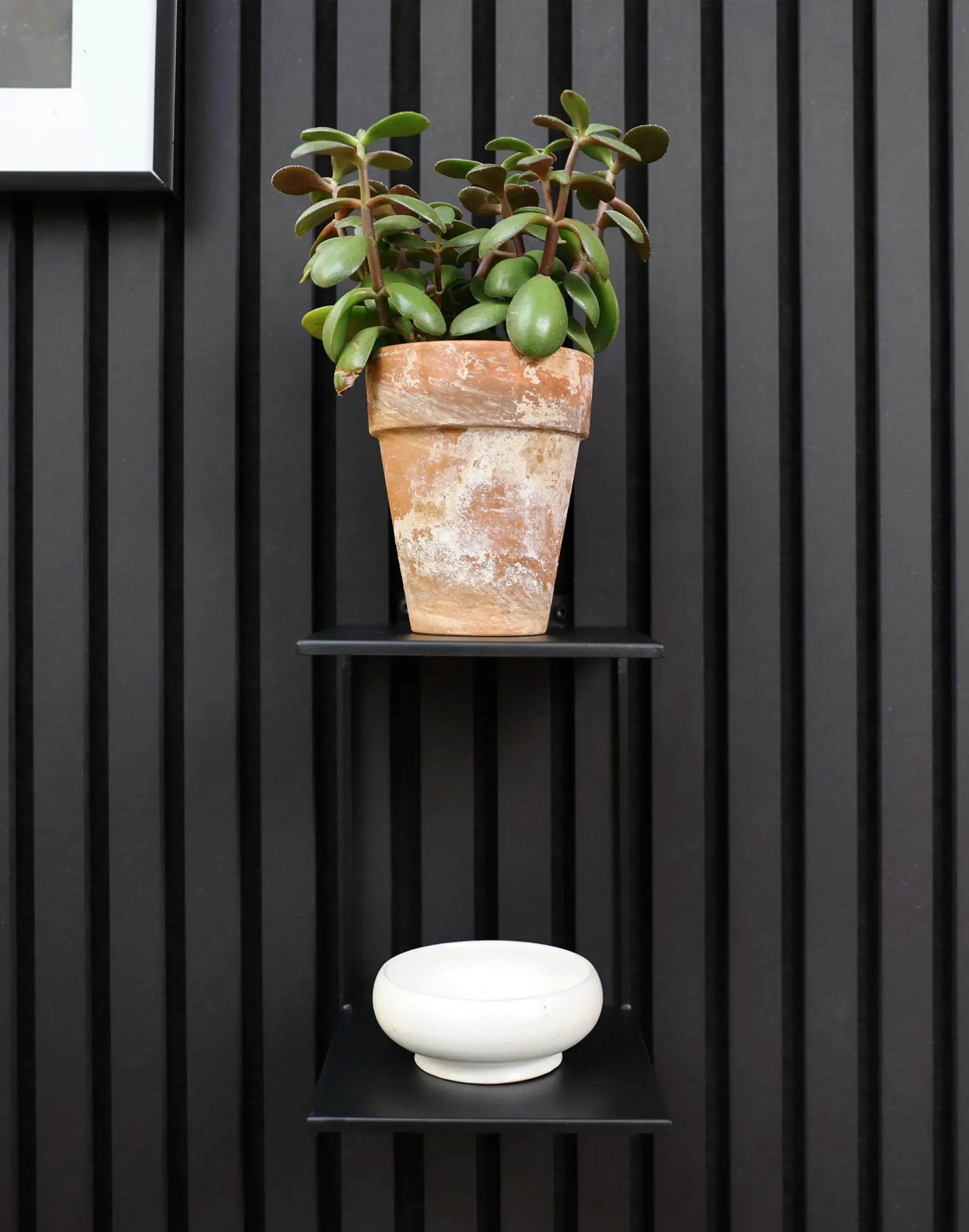 Slatpanel® Double Shelf | Panel Accessories by Slatpanel®