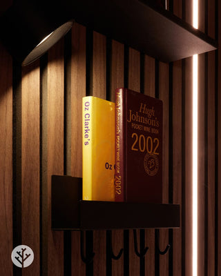 Slatpanel® Slatpanel® Accessories Shelf With Four Hooks