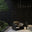 WVH® SENDERO | ALMA Collection